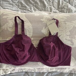 Le Mystere Women's Rich Purple Lace Bra
